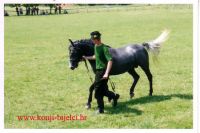 Untitled-13 copy.jpg